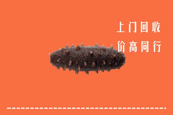 高价求购：安州区回收海参