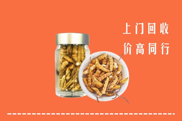 安州区回收冬虫夏草